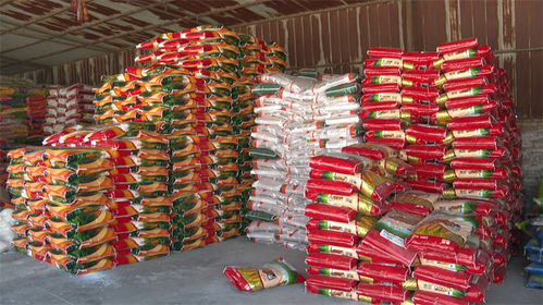 高臺(tái)工業(yè)經(jīng)濟(jì)量質(zhì)齊升 肥業(yè)發(fā)展勢(shì)頭強(qiáng)勁